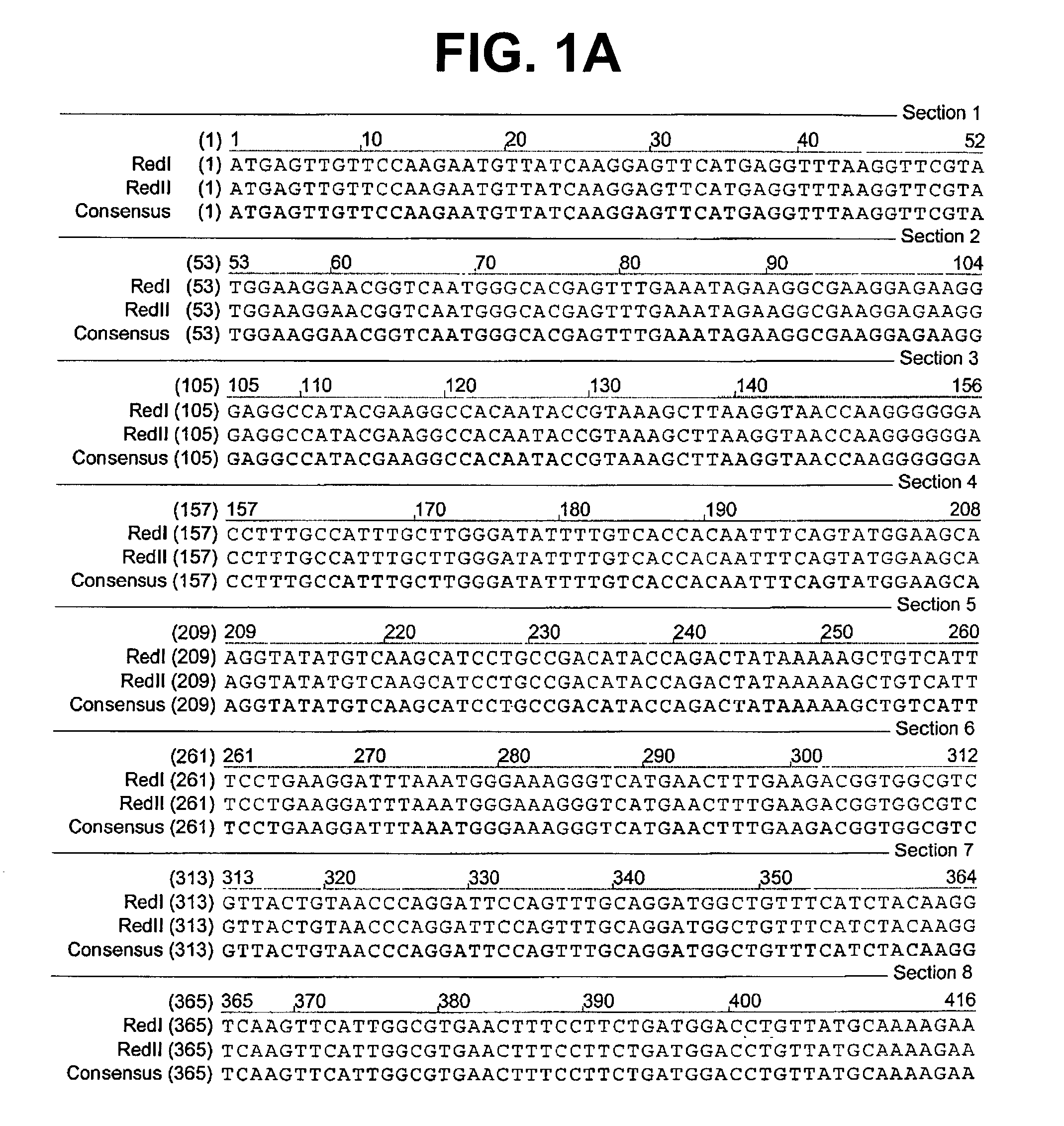 Fluorescent proteins from aquatic species