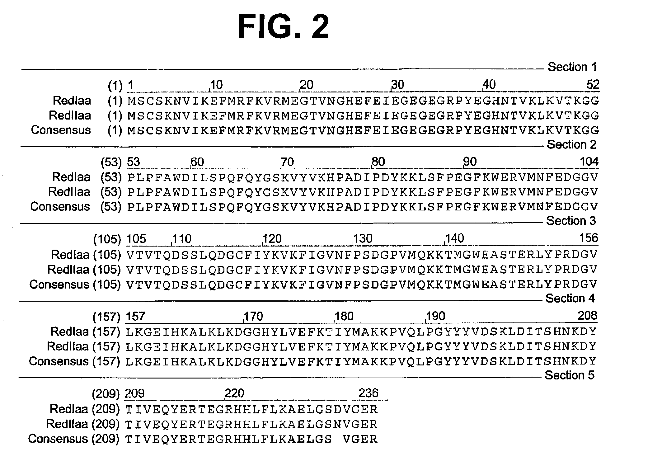 Fluorescent proteins from aquatic species