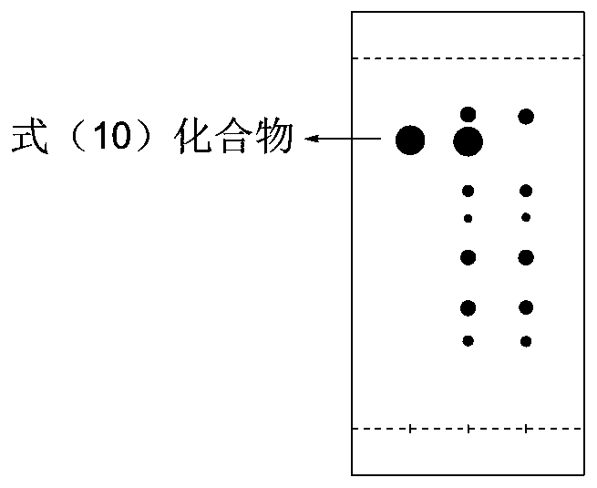 Method for synthesizing ursodeoxycholic acid by taking BA as raw material