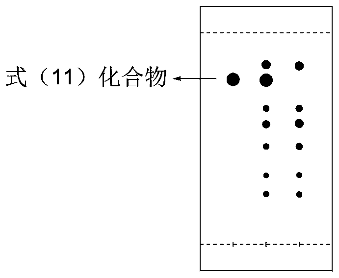 Method for synthesizing ursodeoxycholic acid by taking BA as raw material