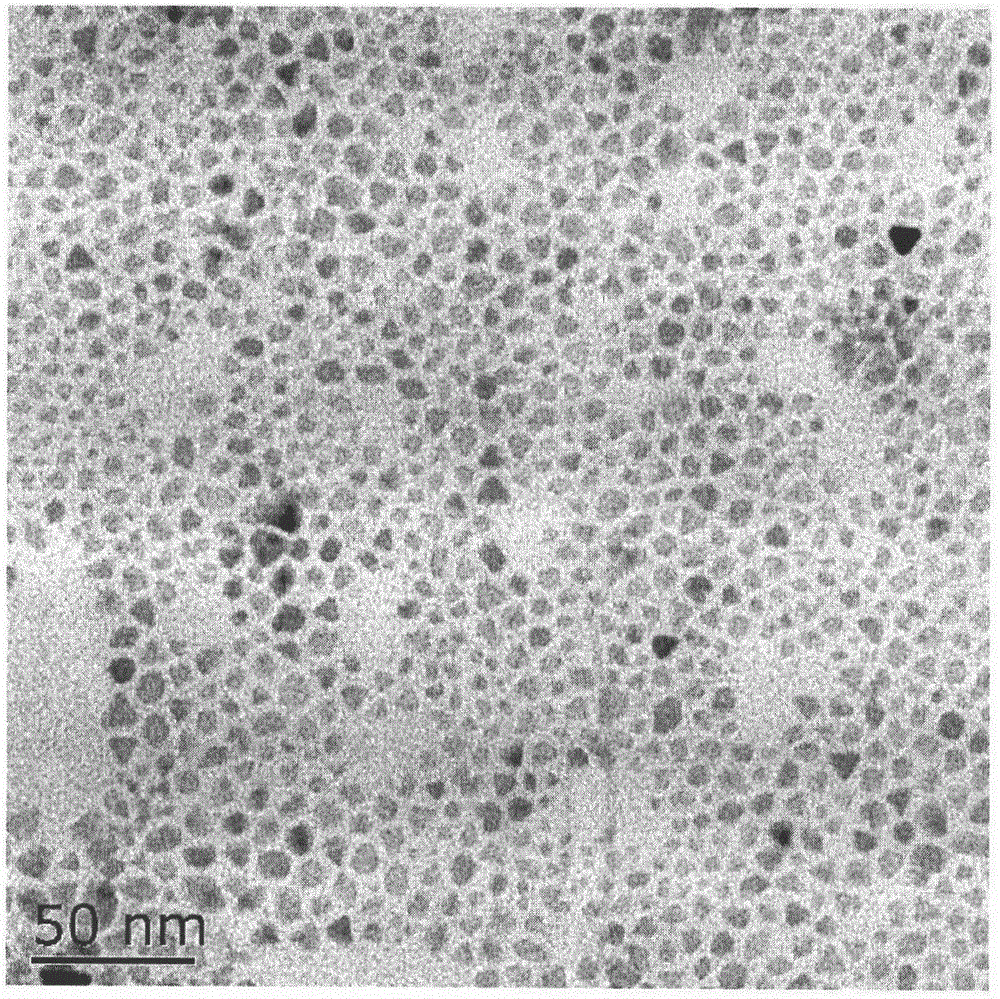 Targeting ligand modified reduction-responsive magnetic nano carrier and preparation method thereof