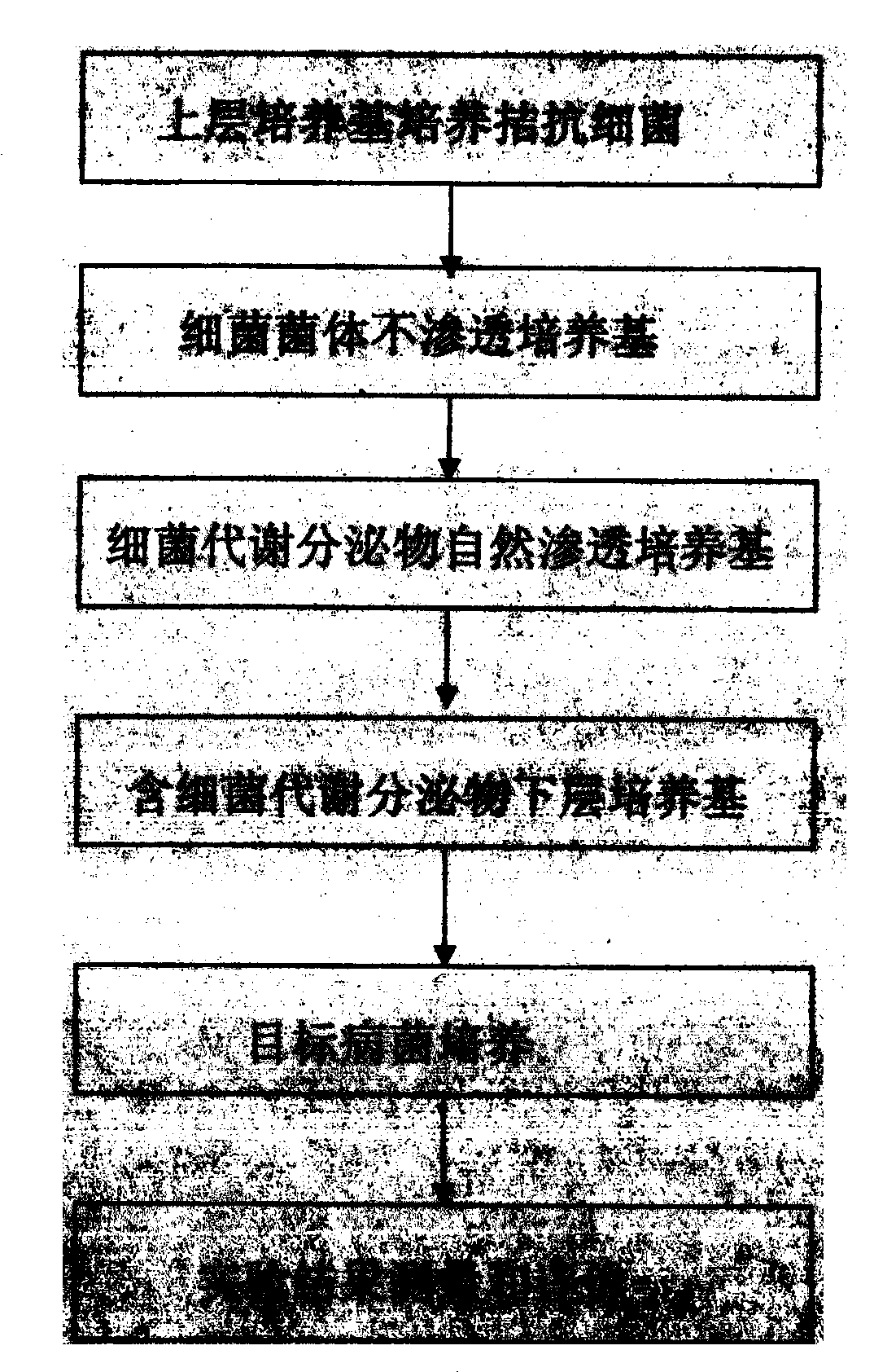 Improved measurement method of antagonistic bacteria