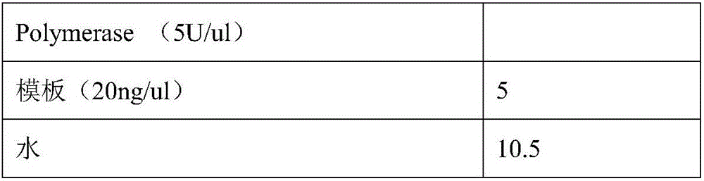 Glucose 6 phosphate dehydrogenase mutant