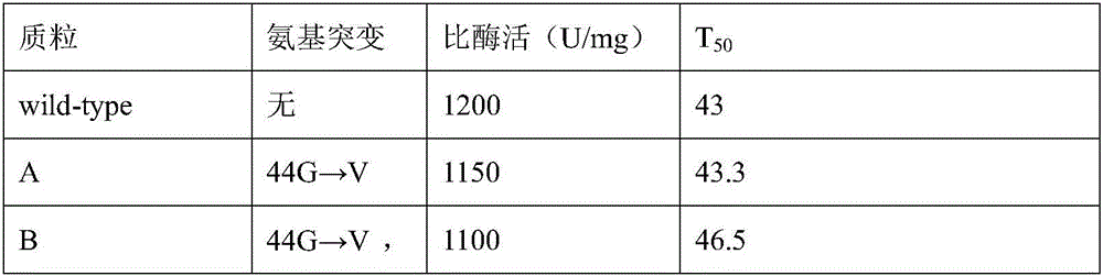 Glucose 6 phosphate dehydrogenase mutant