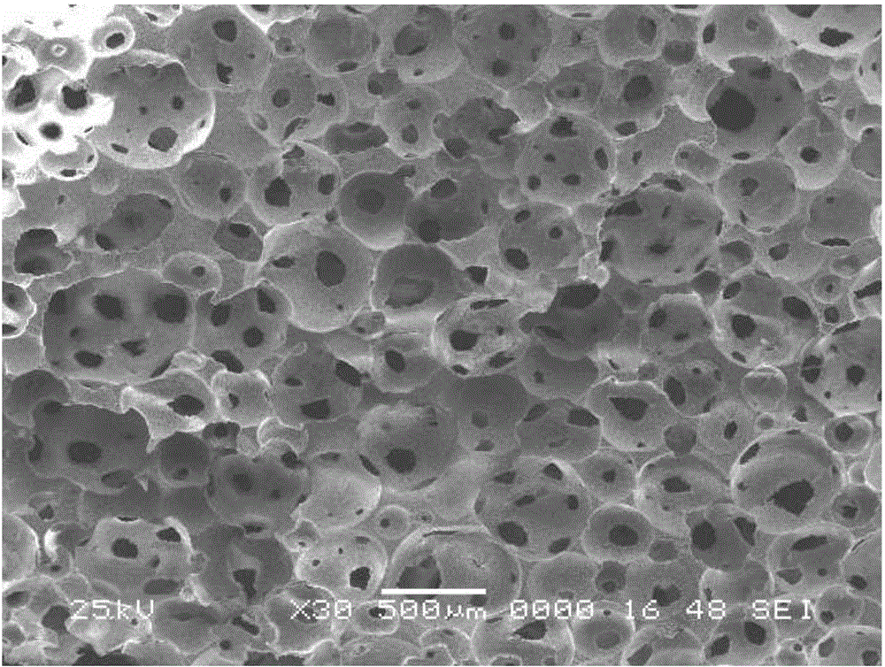 Method for preparing foamed ceramic sound absorption material through protein foaming