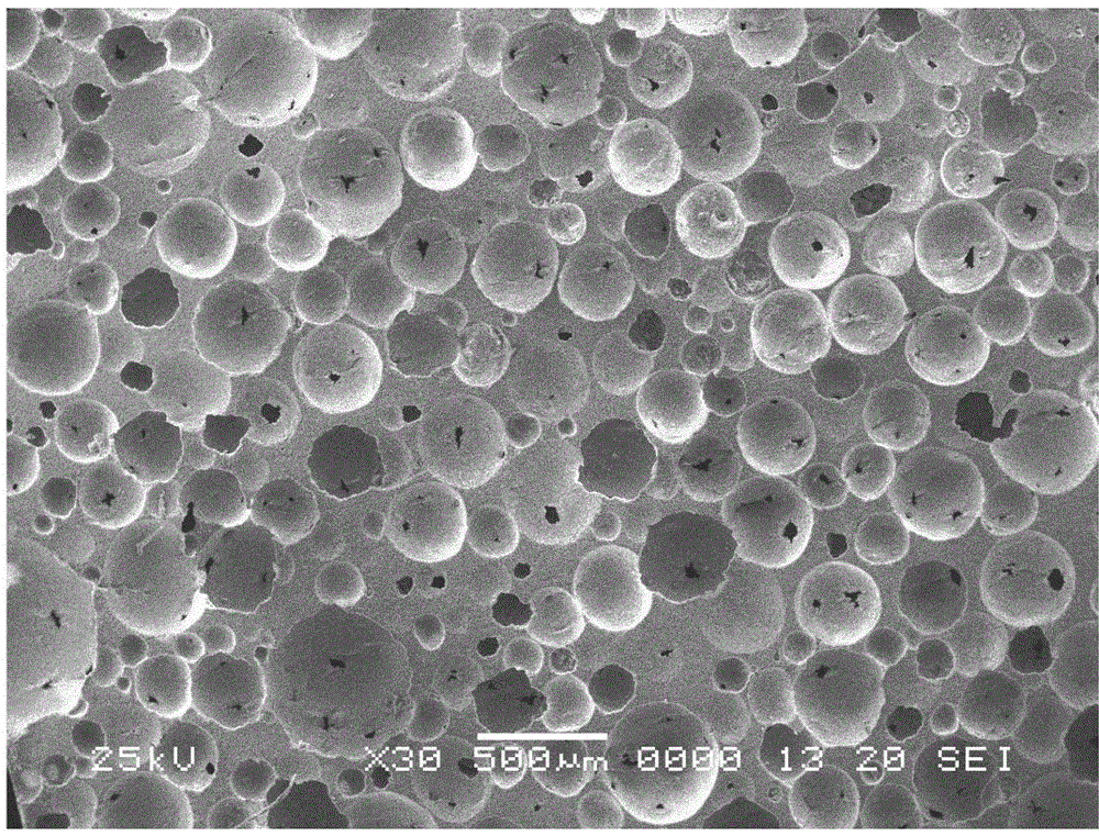 Method for preparing foamed ceramic sound absorption material through protein foaming