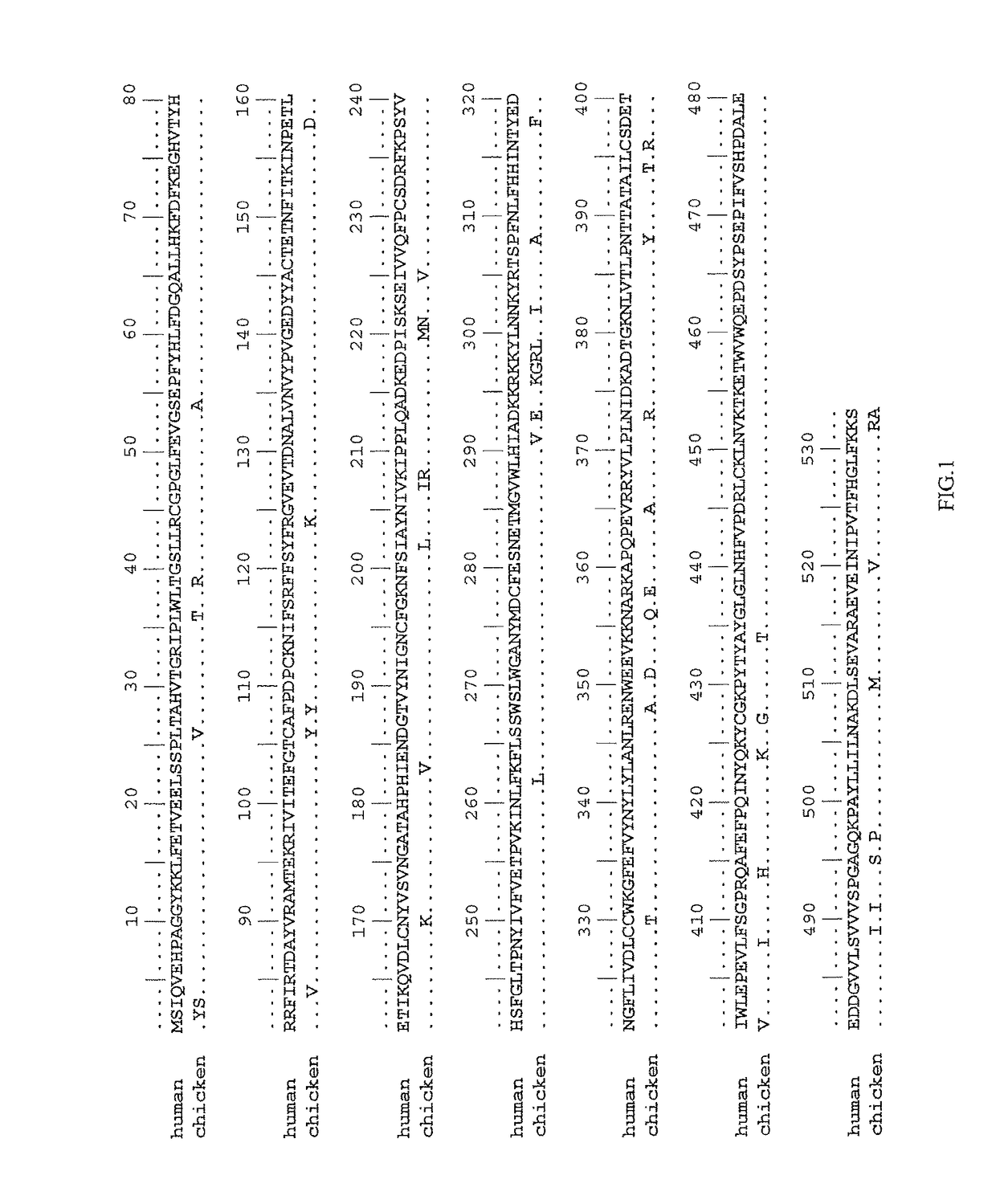 High isomerohydrolase activity mutants of mammalian rpe65