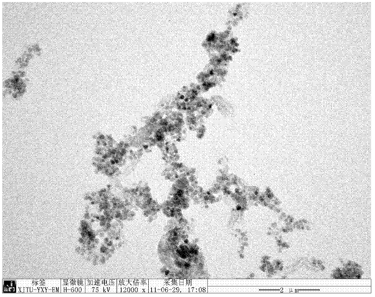 Method for preparing ferroferric oxide/ carbon nano tube composite material