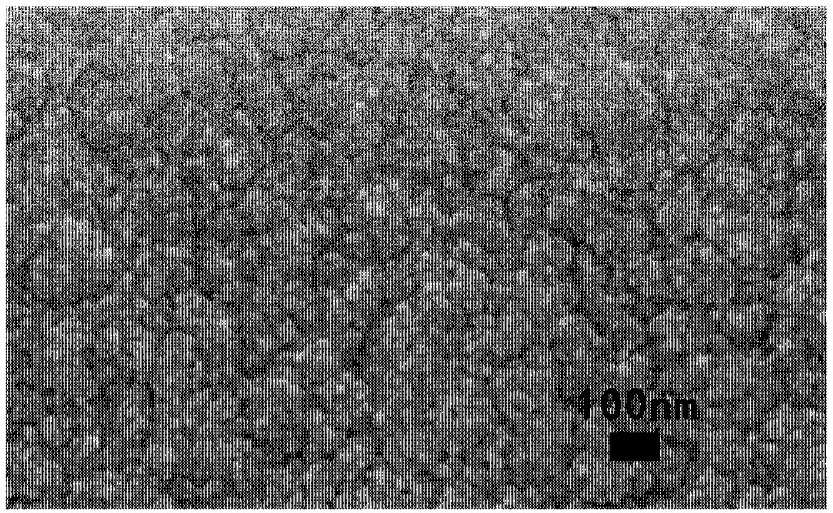 Inorganic halogenated bismuth perovskite battery and preparation method thereof