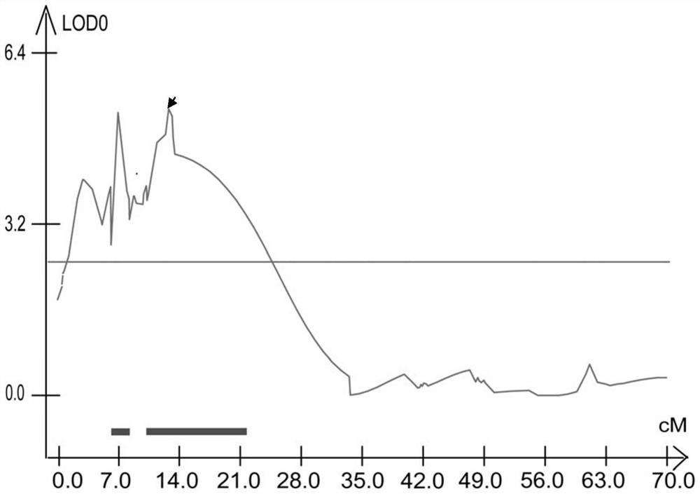 A Molecular Marker Tightly Linked to the Main Effect QTL of Wheat Plant Height Trait and Its Application