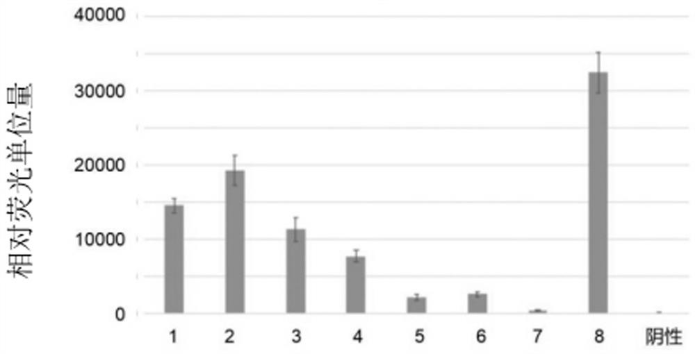 Modified crrna fragment and African swine fever virus kit