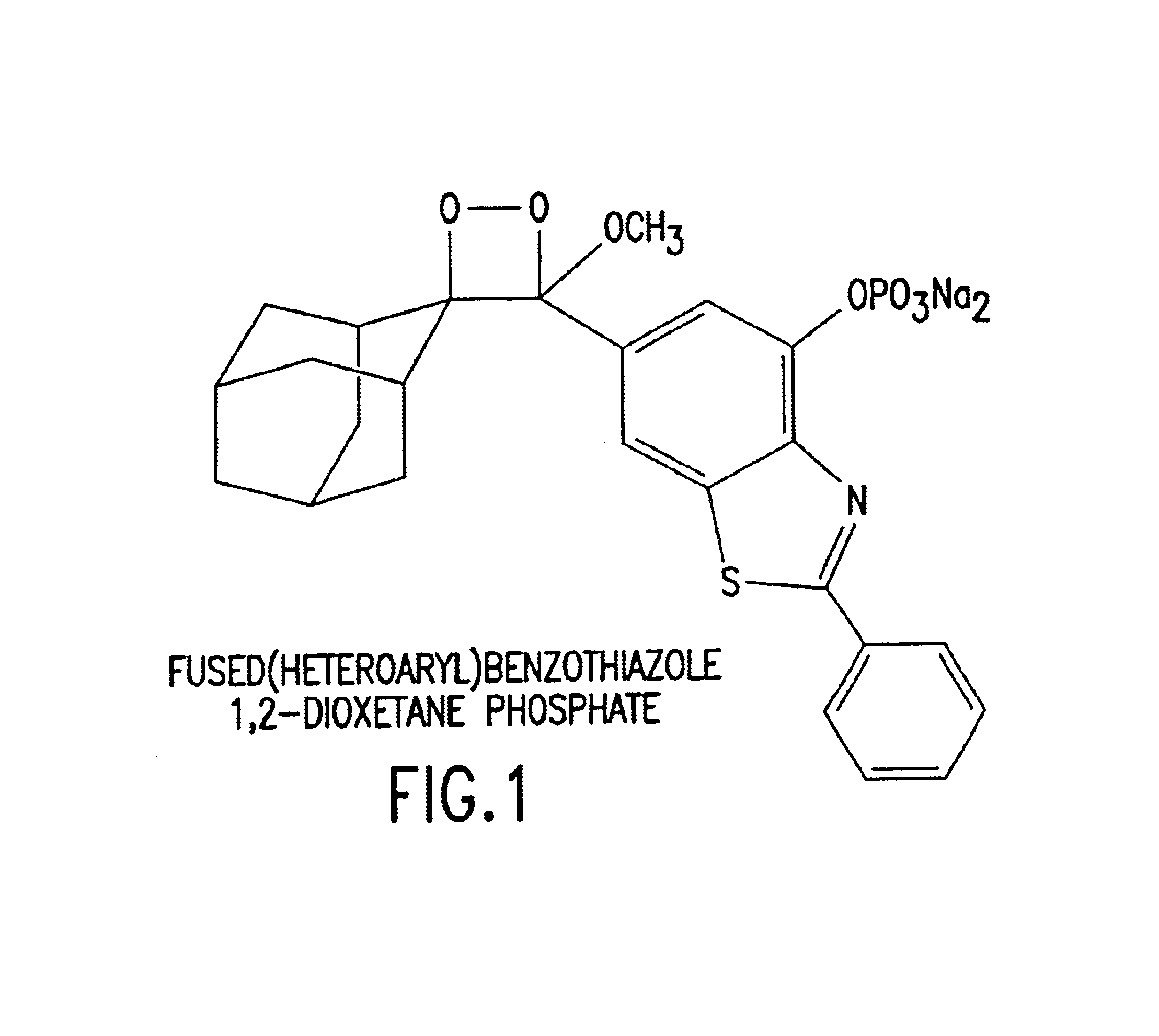 Benzothiazole dioxetanes