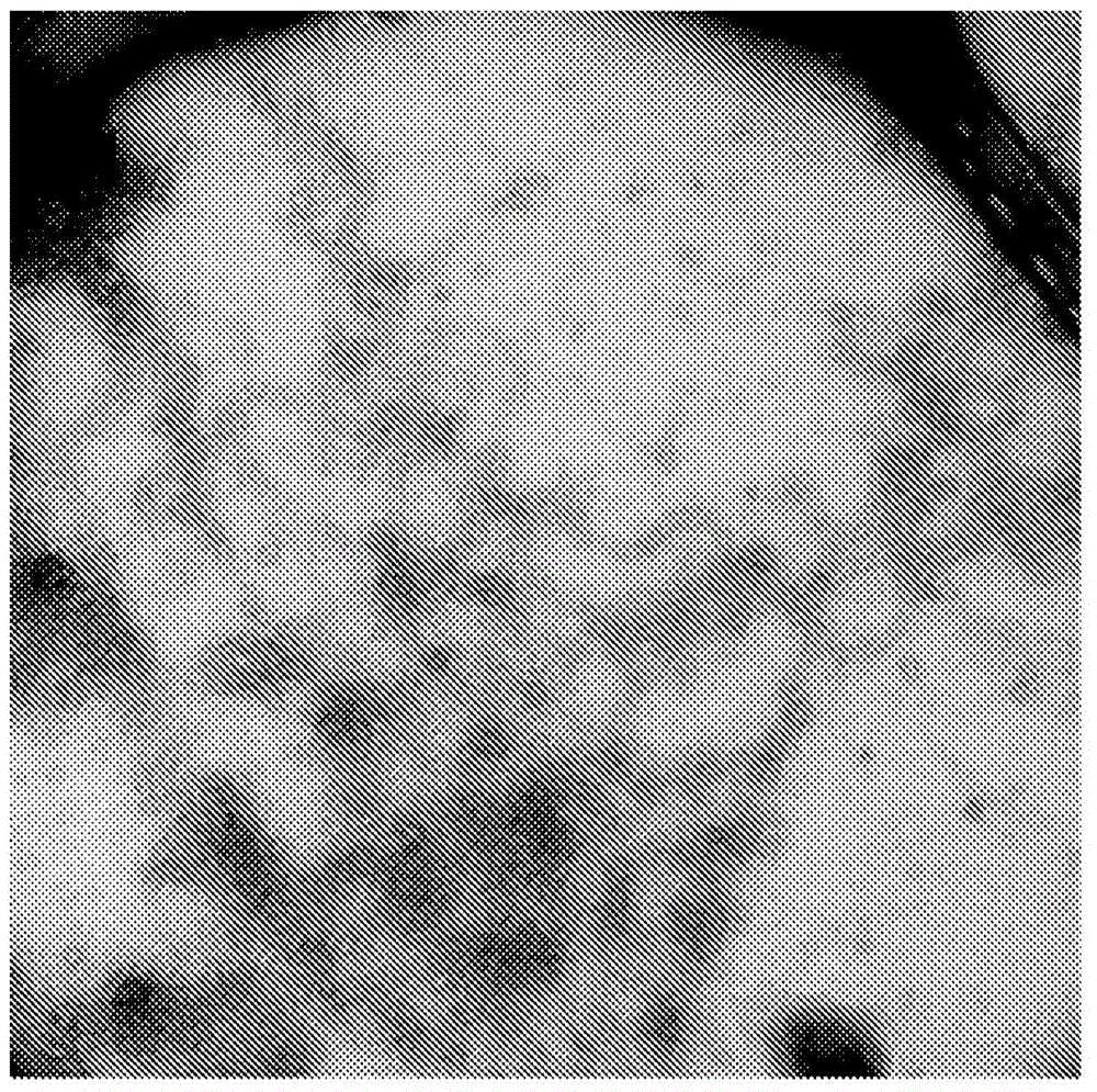 Christine analogues that inhibit the FTSZ protein