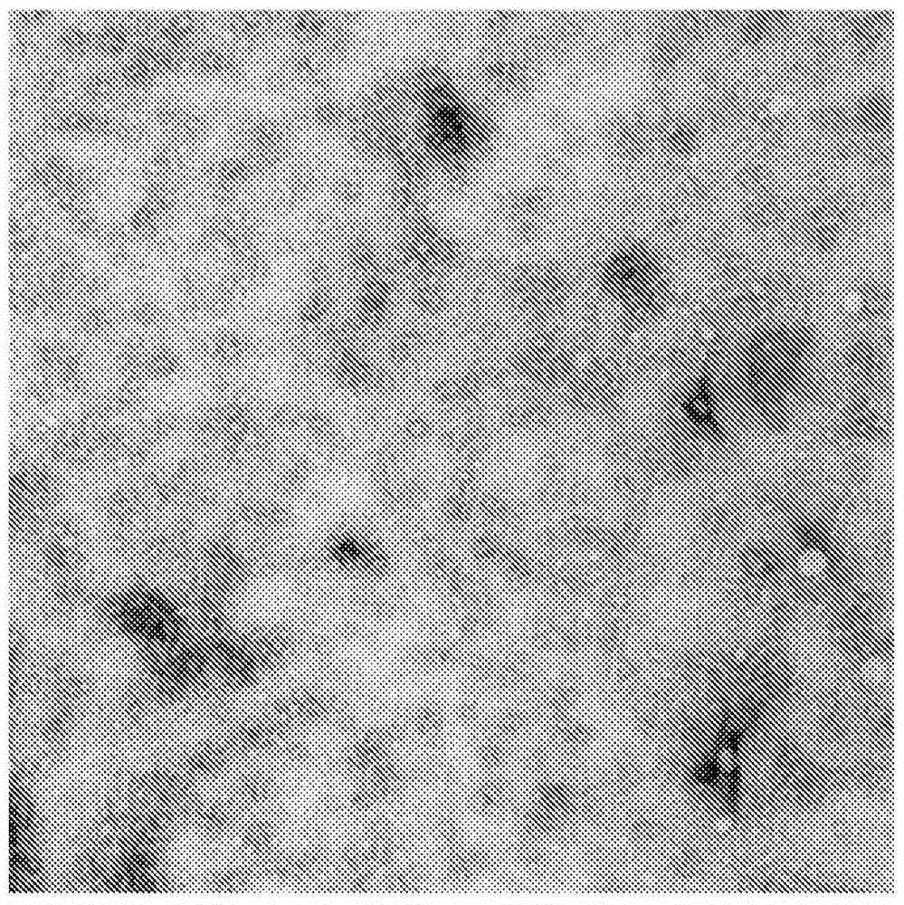 Christine analogues that inhibit the FTSZ protein