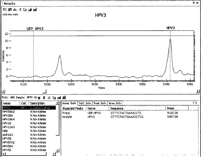 Primers and method for detecting and typing human papilloma viruses in esophagi