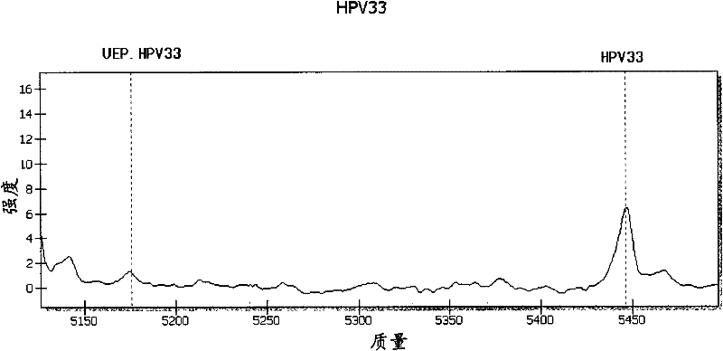 Primers and method for detecting and typing human papilloma viruses in esophagi