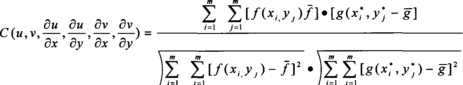 Double microscopic digital speckle strain measurement method