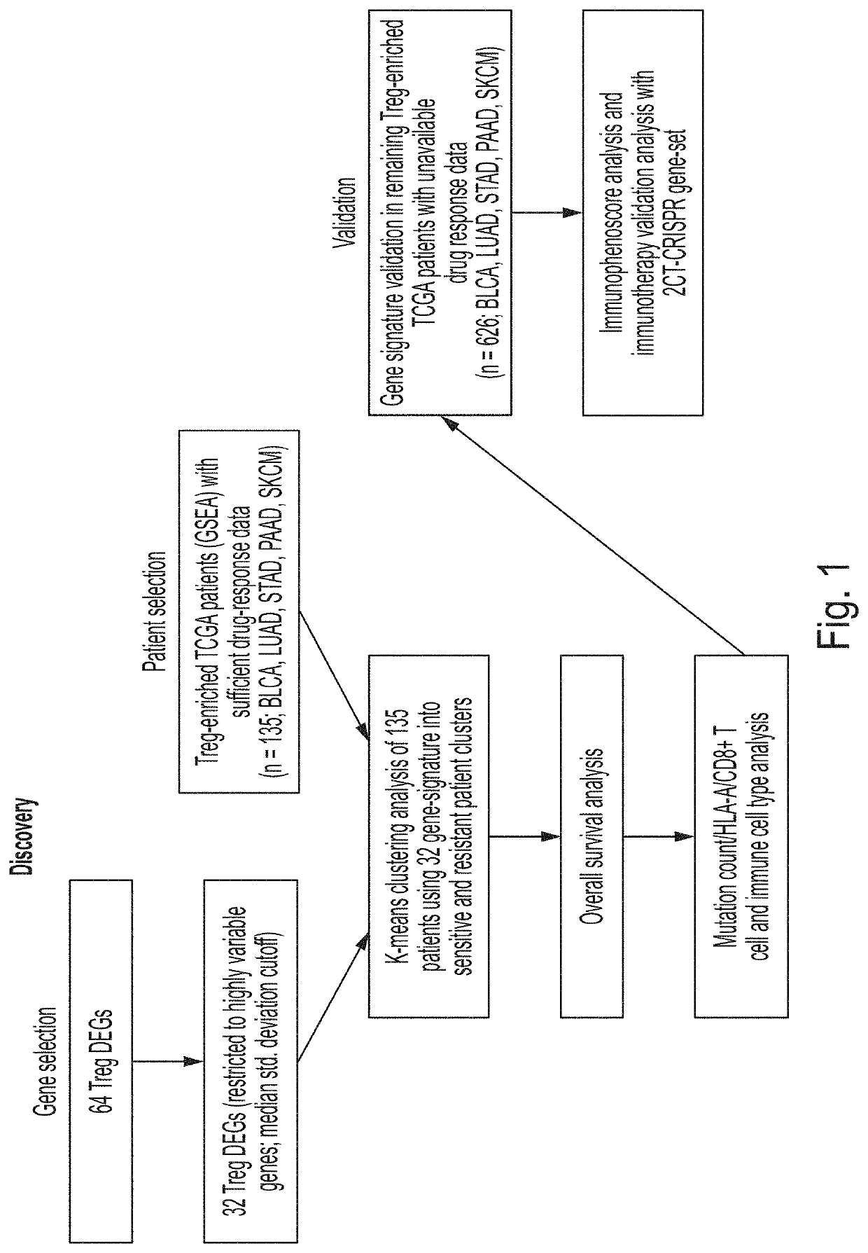 Immune Gene Expression Signature in Treg Enriched Tumor Samples