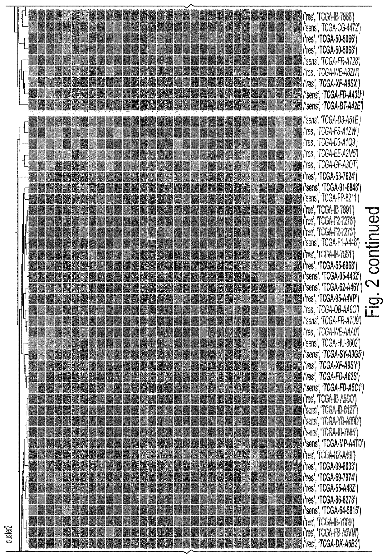 Immune Gene Expression Signature in Treg Enriched Tumor Samples