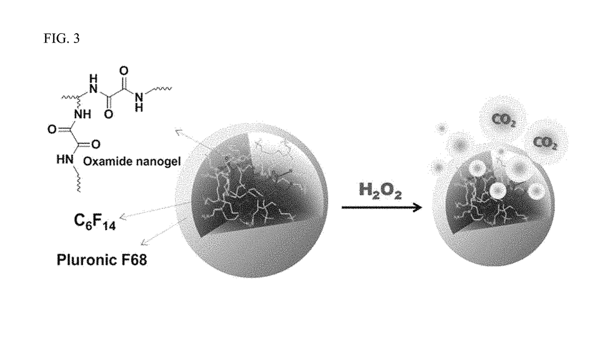 Oxamide nanogel, a preparation method of the same, and use thereof