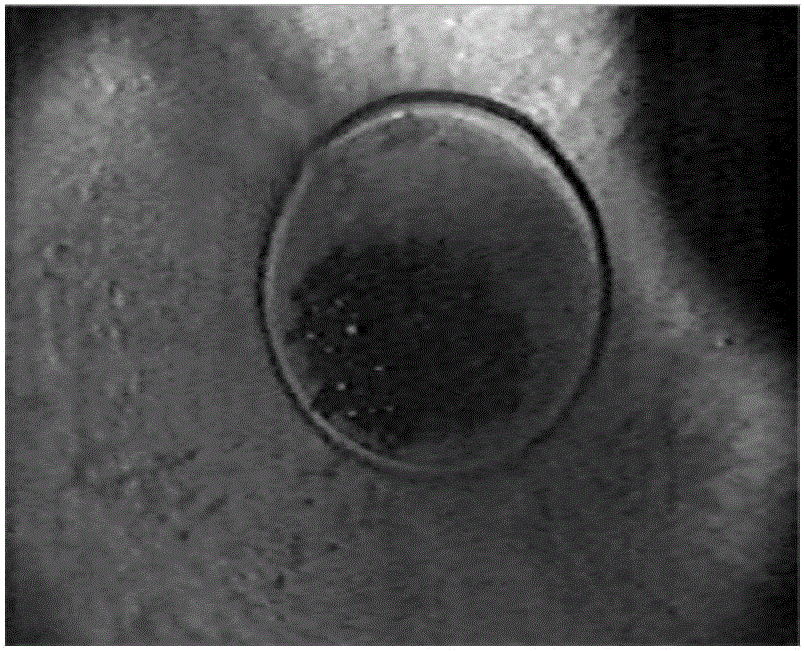 An edge detection method for oil well casing damage images based on grey relational analysis and zernike moment