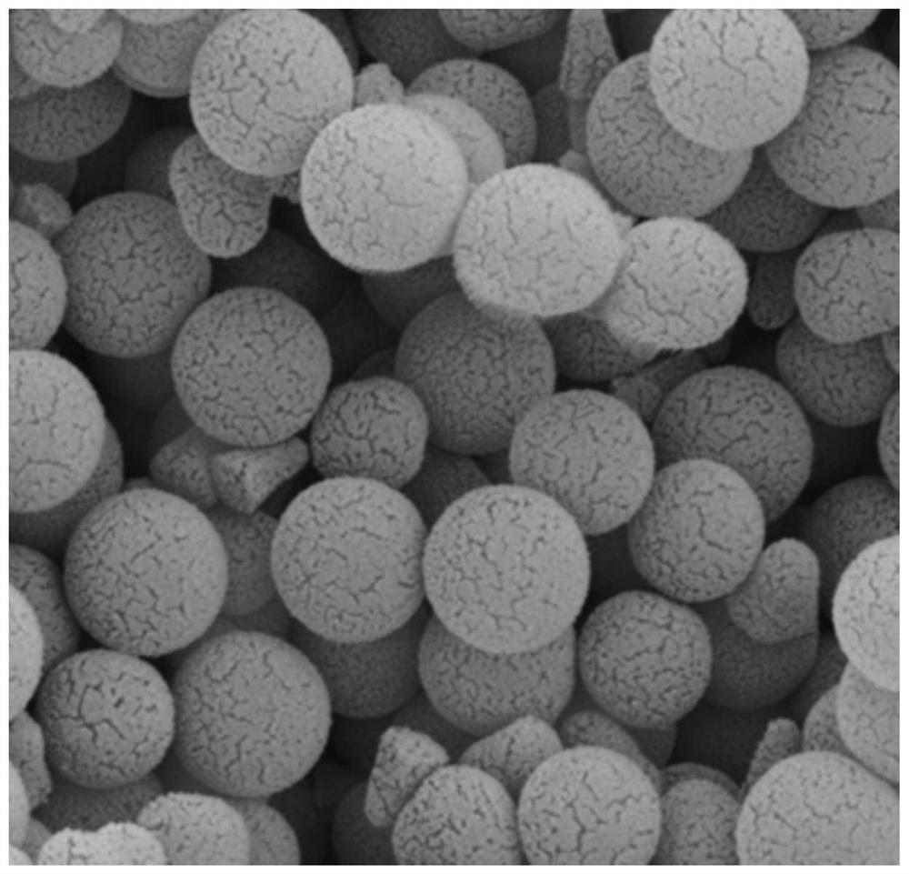 Purification process of acetal phospholipid