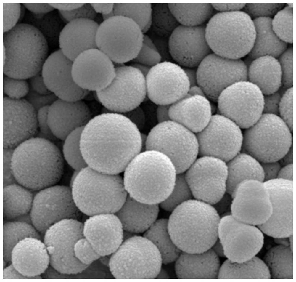 Purification process of acetal phospholipid