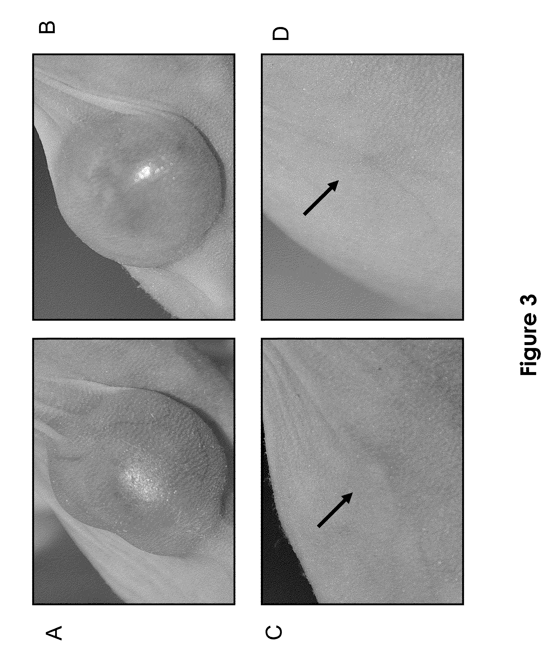 Novel pharmaceutical compounds