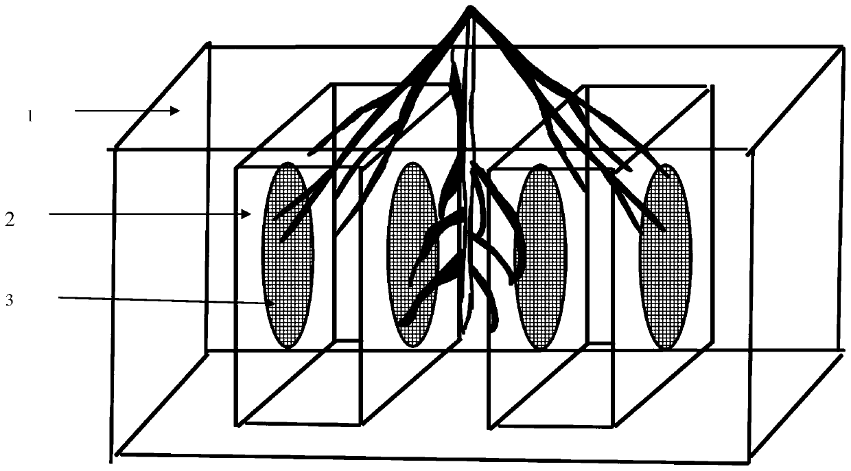 Root exudate collecting device and method for gramineous plant