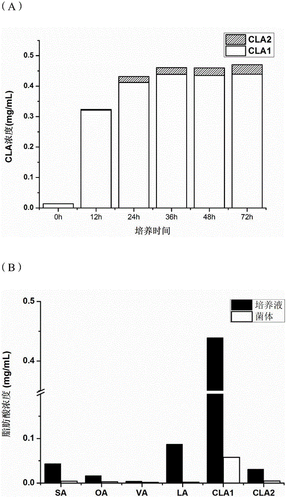 Bifidobacterium breve and application thereof in preparing conjugated linoleic acid or conjugated linolenic acid