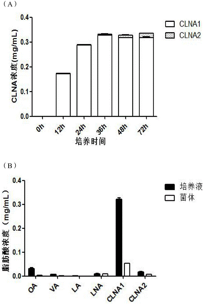 Bifidobacterium breve and application thereof in preparing conjugated linoleic acid or conjugated linolenic acid