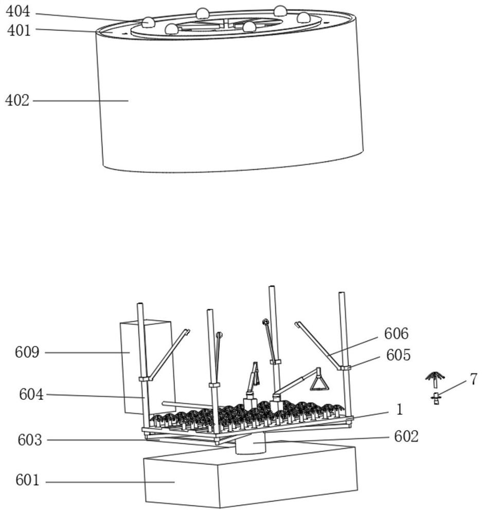 Seedling raising device for gravel soil