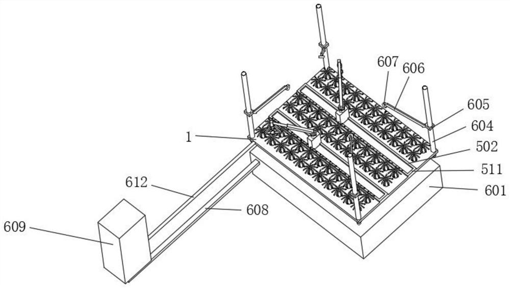 Seedling raising device for gravel soil