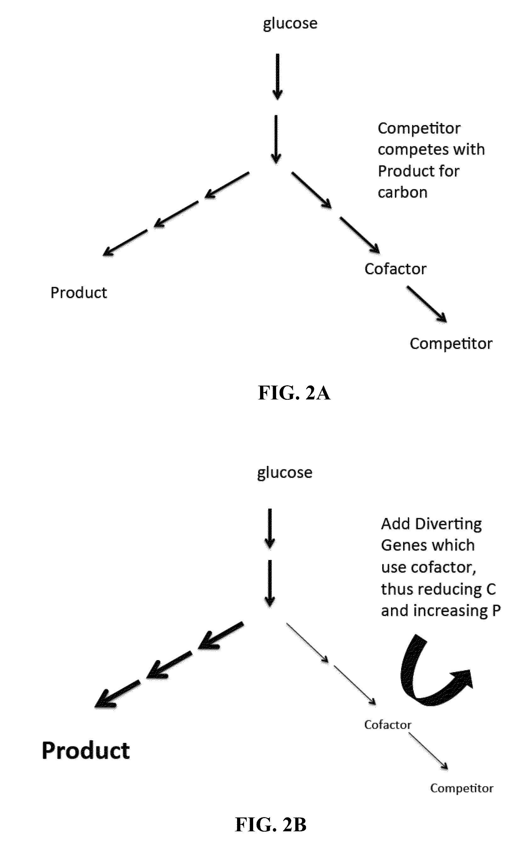 Metabolic transistor in bacteria