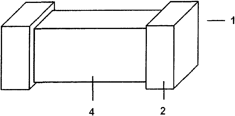 Preliminary treatment method for electroplating of chip ferrite product