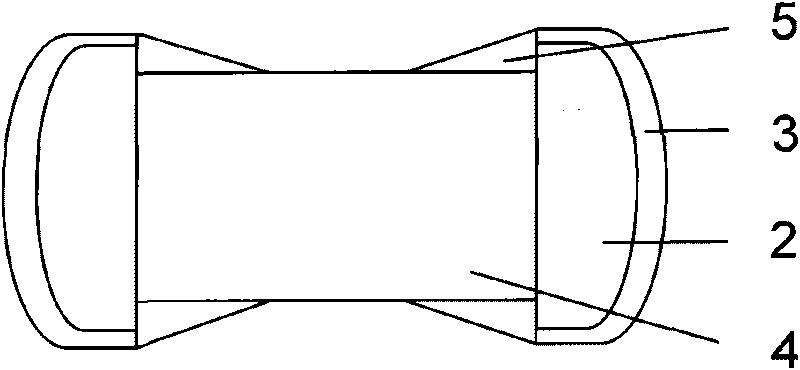 Preliminary treatment method for electroplating of chip ferrite product