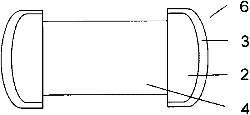 Preliminary treatment method for electroplating of chip ferrite product