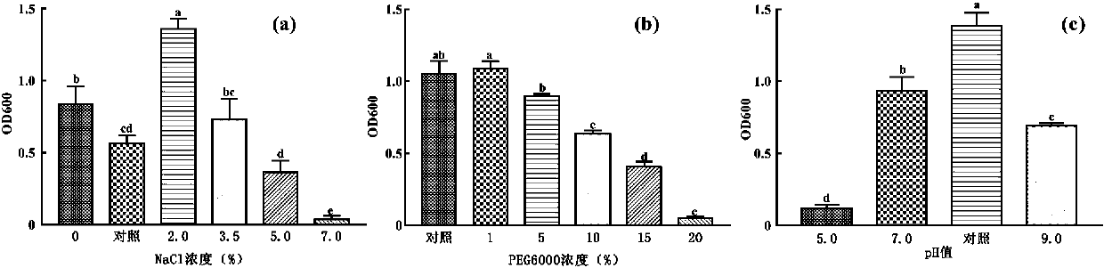 Astragalus membranaceus seed-dressing agent and method for promoting growth of astragalus membranaceus and accumulation of astragalus root flavonoids compounds of astragalus membranaceus seed-dressing agent