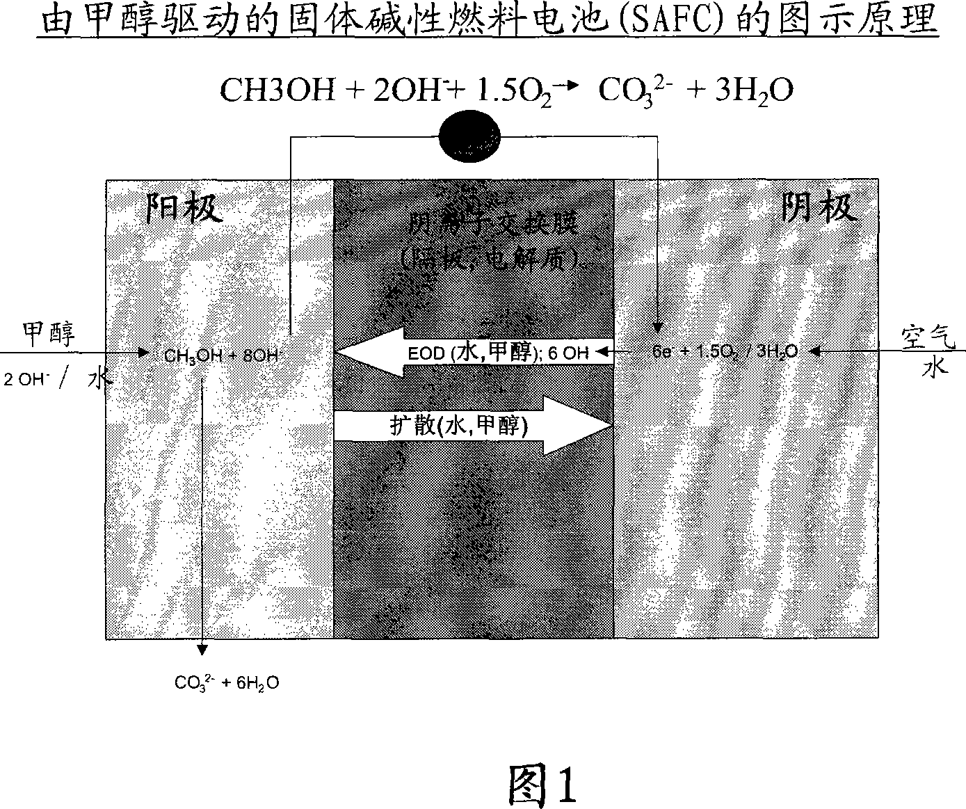 Solid alkaline fuel cell comprising ion exchange membrane