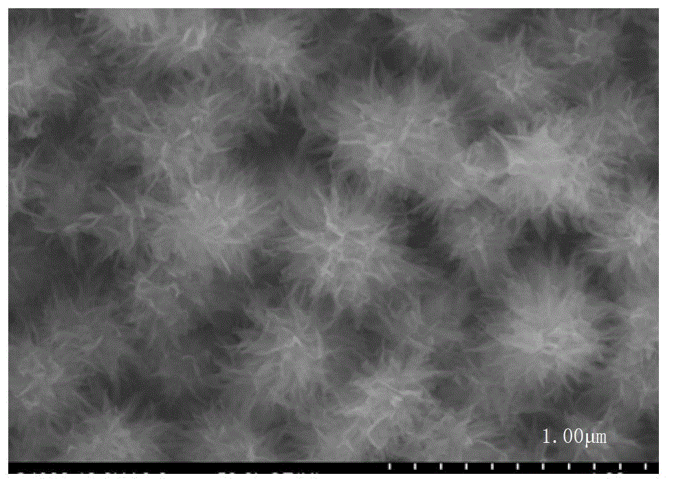 Method for preparing three-dimensional spherical anatase type TiO2 photo-anode