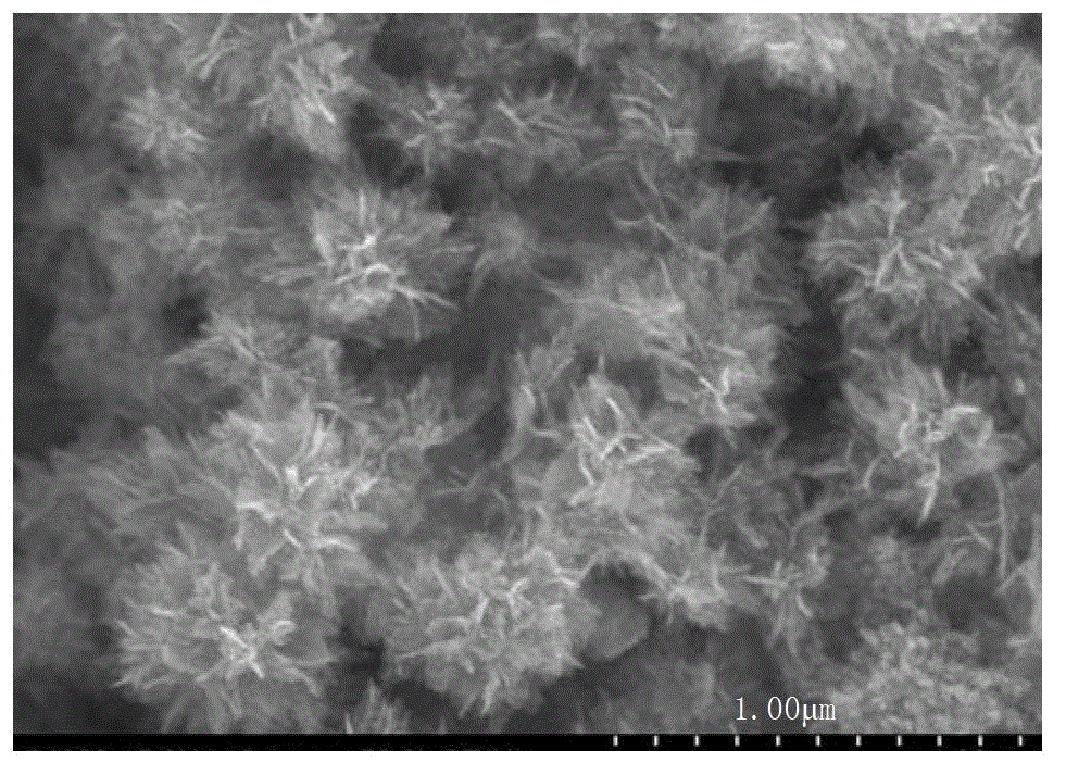 Method for preparing three-dimensional spherical anatase type TiO2 photo-anode