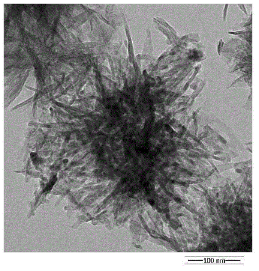 Method for preparing three-dimensional spherical anatase type TiO2 photo-anode