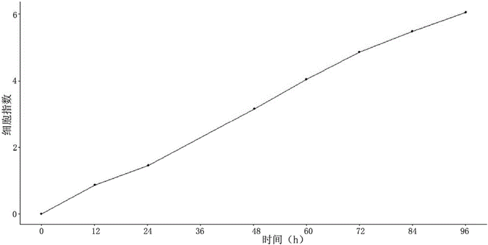 Esophageal cancer cell line and application thereof