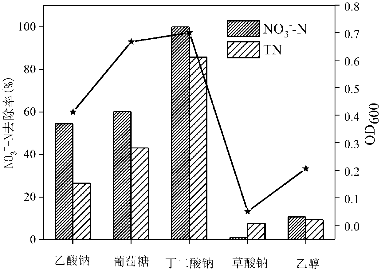 Pseudomonas citronellolis WXP-4 and application thereof in denitrification