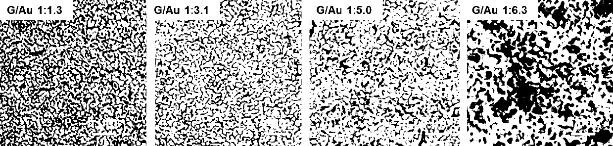 Method for preparing nano-porous gold film through treating graphene as template