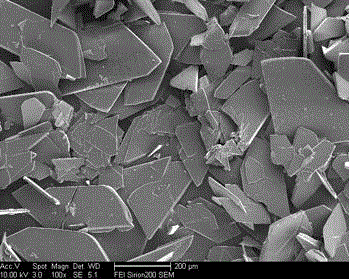 Method for preparing submillimeter hydryoxyapetite crystal with regular shape