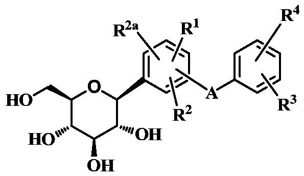 Bicyclic derivatives of glucoside and its preparation method and use