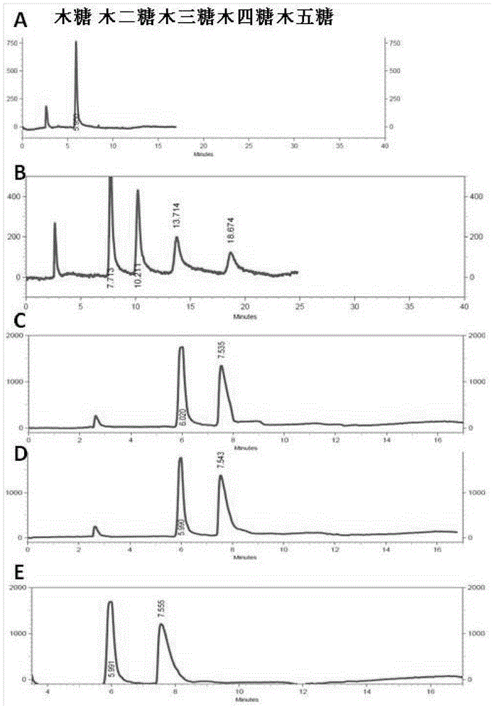 Beta-xylosidase mutant and use thereof