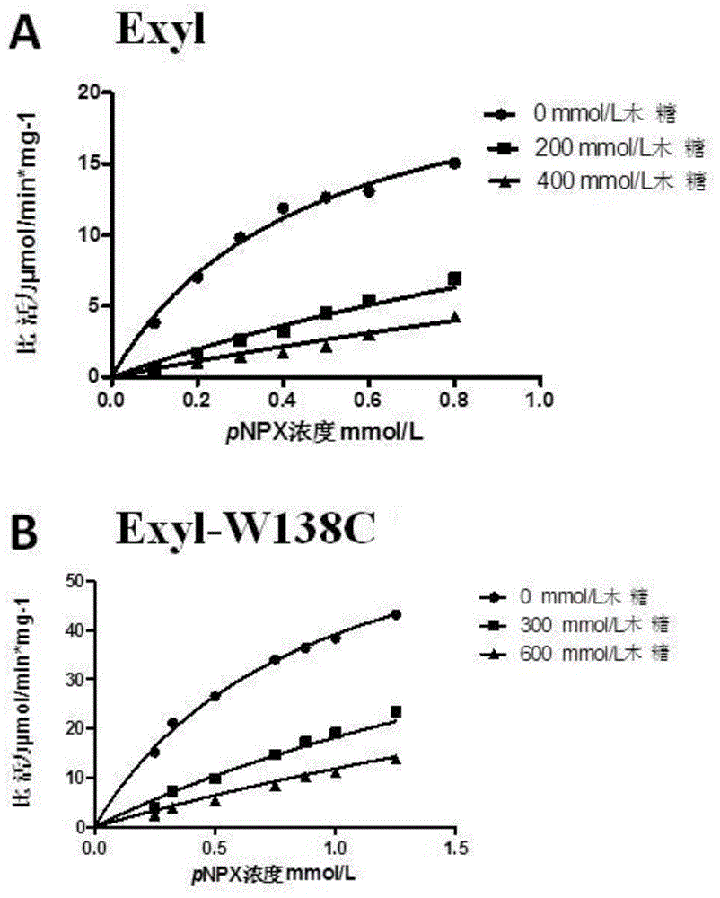 Beta-xylosidase mutant and use thereof