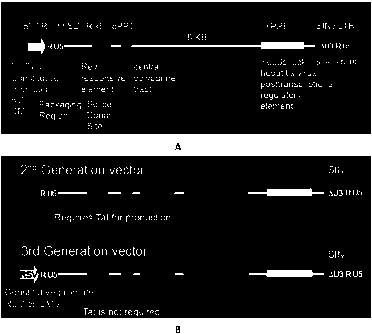 Closed IL6R CAR-T transgenic vector for relieving CRS as well as construction method and application of CAR-T transgenic vector